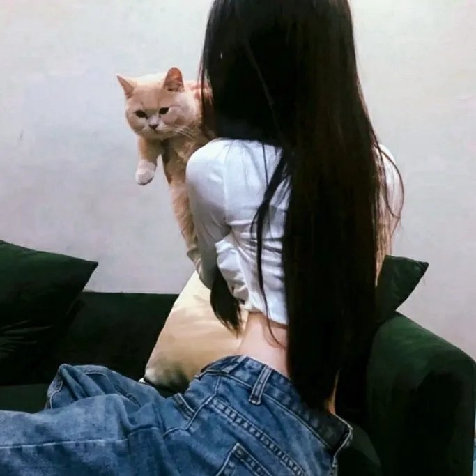 恋爱课程