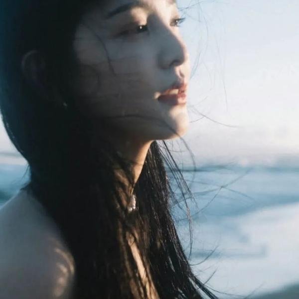 阴暗浮沉鸭